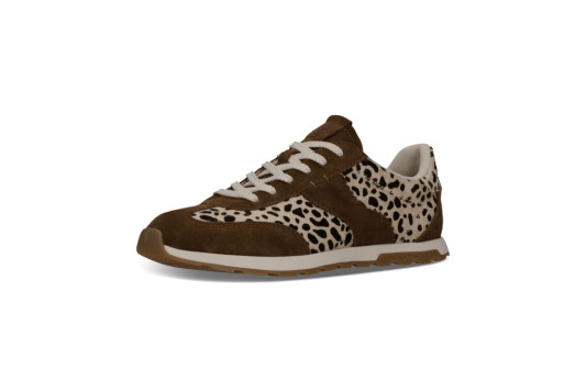 nouveautes automnehiver 2026 Salamander f31-avy02-1419